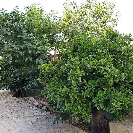 La Casa Delle Terrazze Sul Mare Lägenhet Caulonia Marina